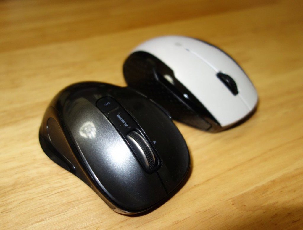 mouse
