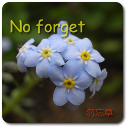 Goto Google play NoForget